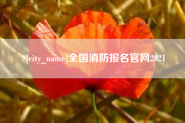 阜阳全国消防报名官网2021