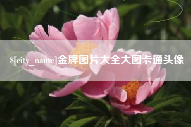 阜阳金牌图片大全大图卡通头像