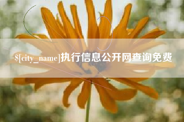阜阳执行信息公开网查询免费