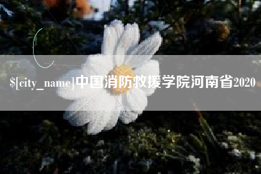 阜阳中国消防救援学院河南省2020